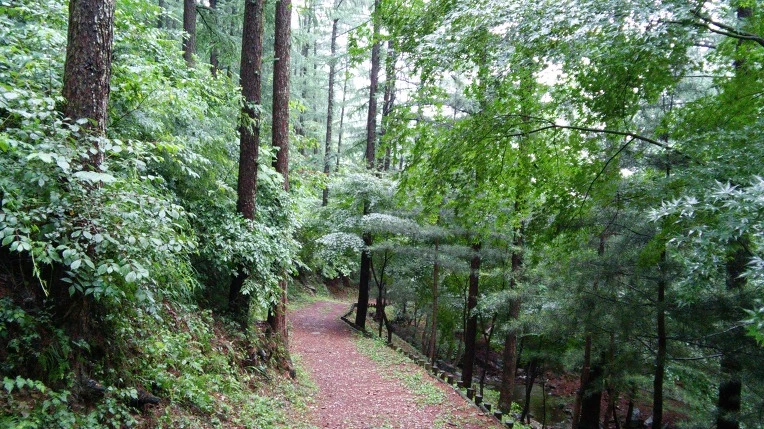 274D5C3E558C8DA33294D6