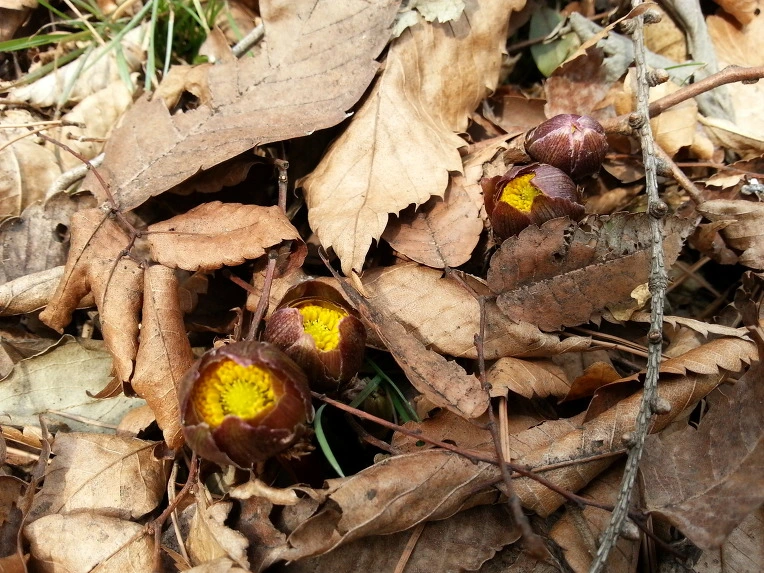 2113463E5301642805C45A