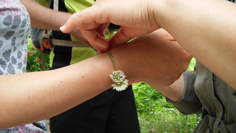 212654405652854810A2C5