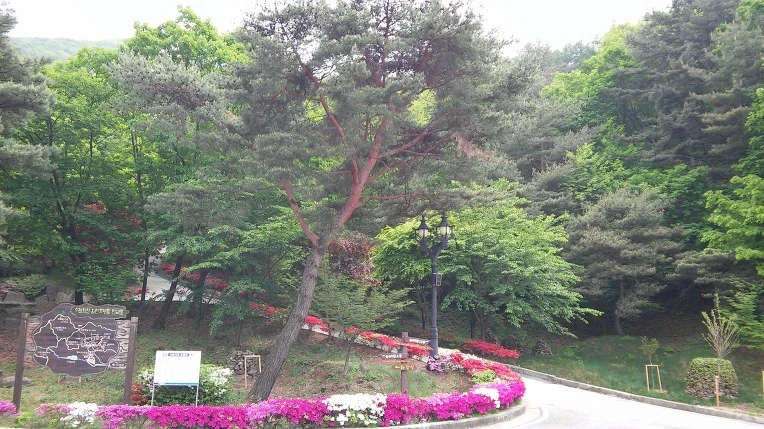 2604B036554D2C24339A76