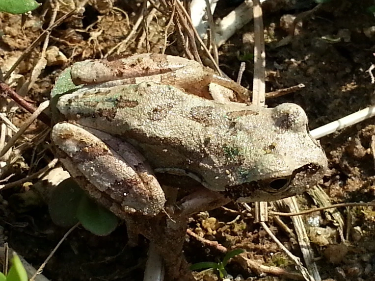 2329AB4C56B024DF1B1A65