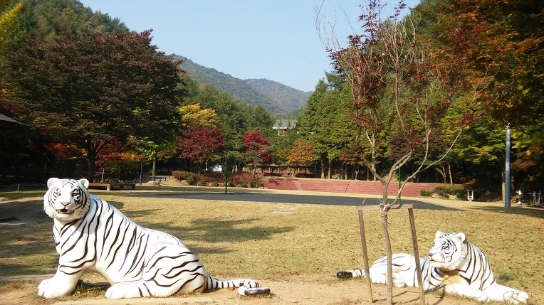 2123973C5620A6762D9D98