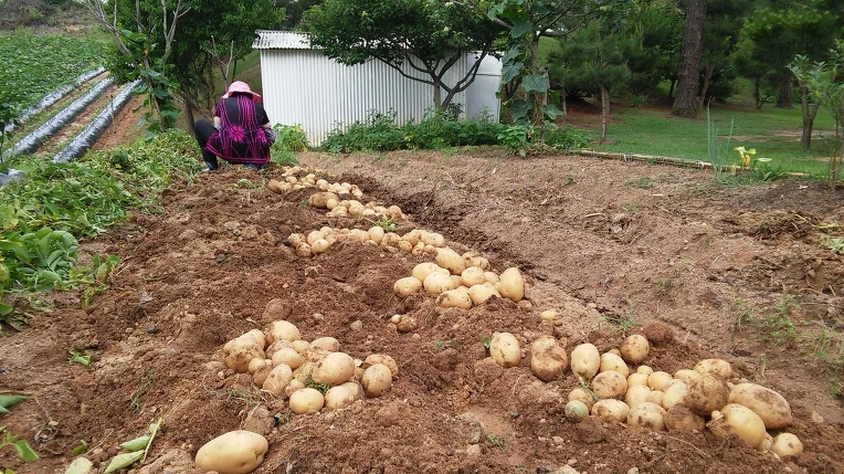 2531B23E577890462148A4