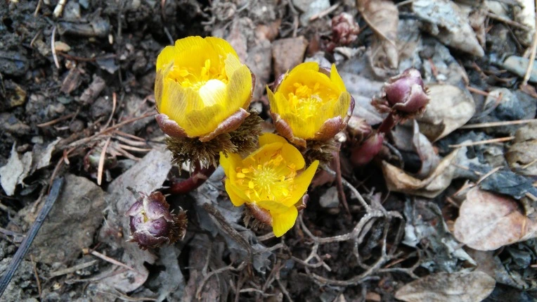 242A984056D1086E287589