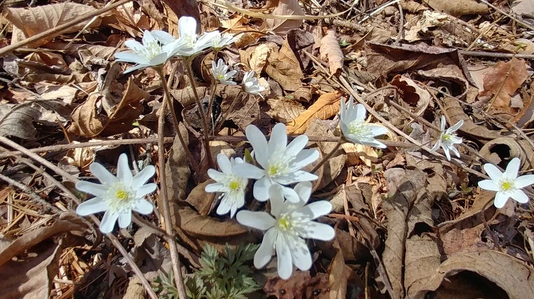 9912A3415AD54B6918B1E1