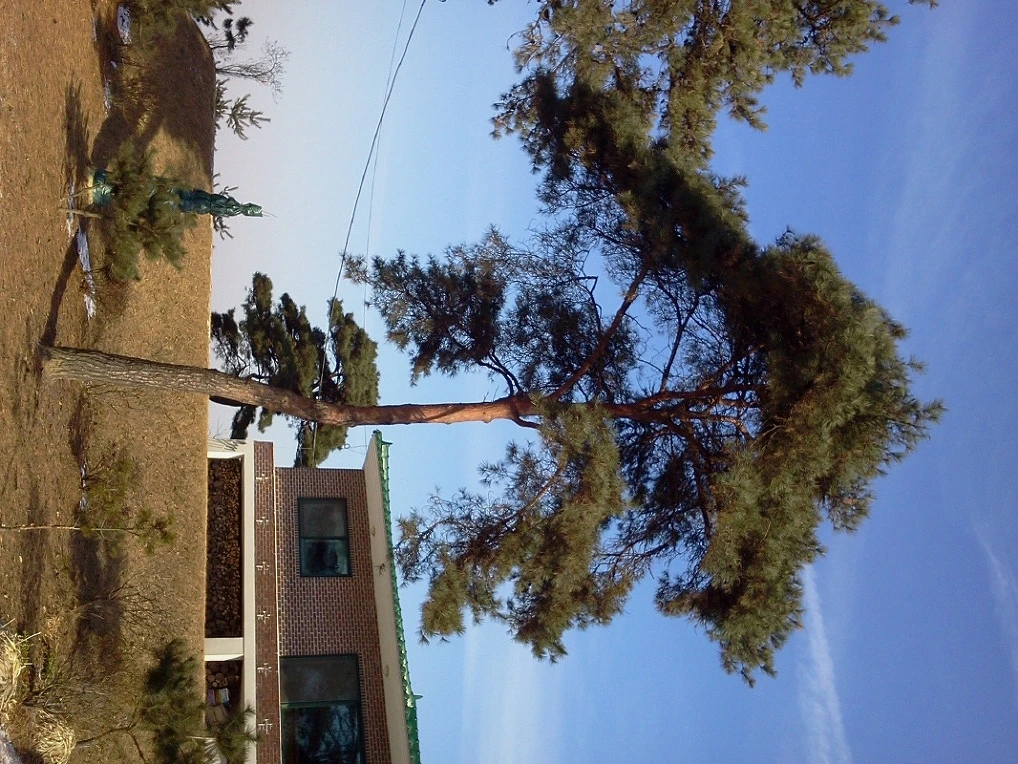 235E1150547F927B11A07D