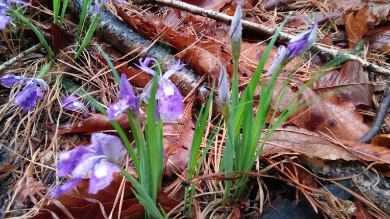 24227B505712CCB930E06C