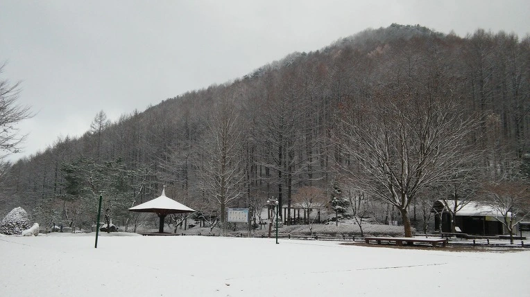 274EA8395656A514092B67