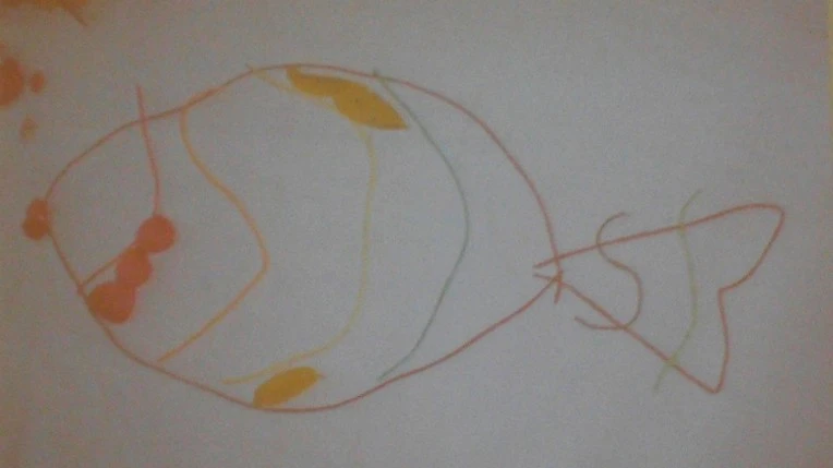 2465423C56FA721F3004E5