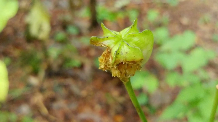 994E03385DBE626E2BF6AE