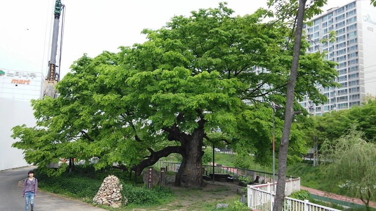 23358749572561C90C673D