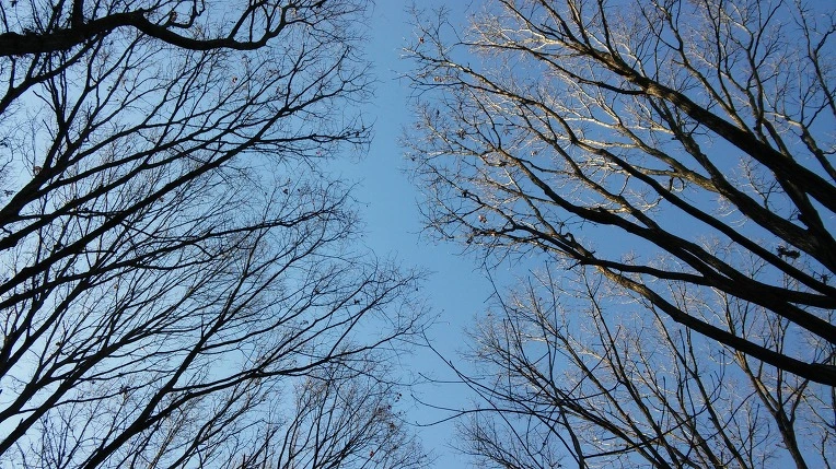 2412A045585A2F07261023