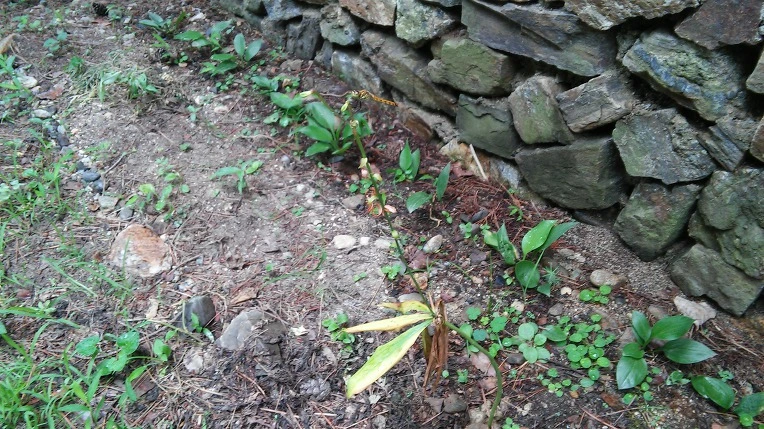 23F23C335973DA42221E87