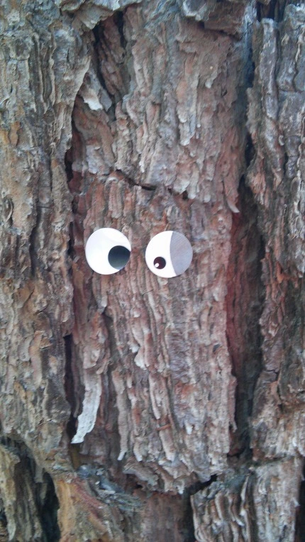 255B01425621FF73335F73