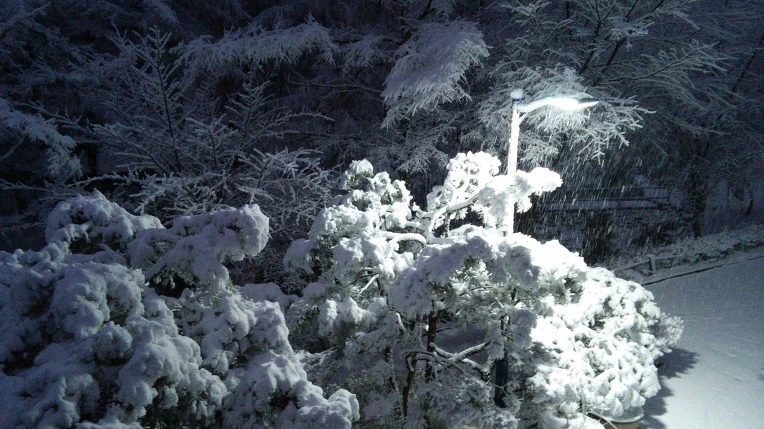 236DC33B565F93D1310616