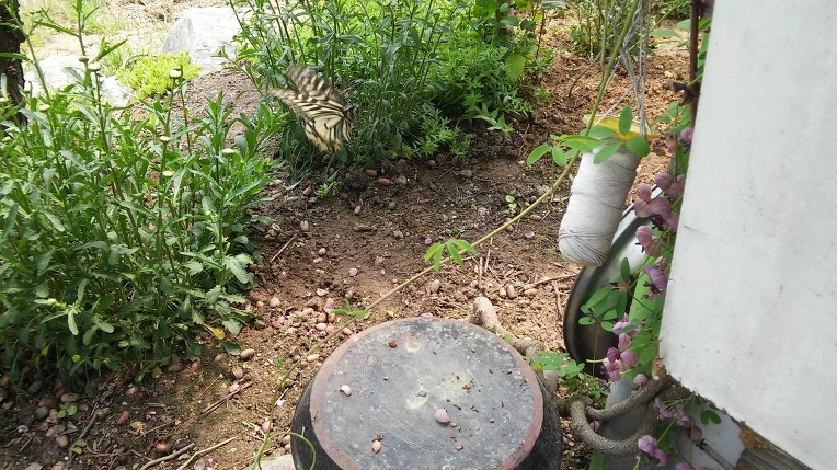 2161BC4A572480951167C4