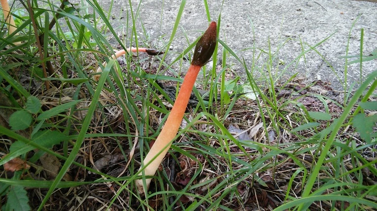 2372D03C55C2E51E2C7EC7