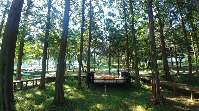 99C145415B57BC490BF778