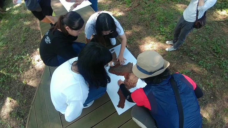 99392D4F5B4D8E8A34D24A