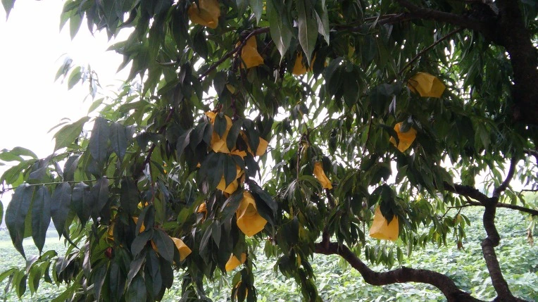 24342E3F5622BFF1050BDB