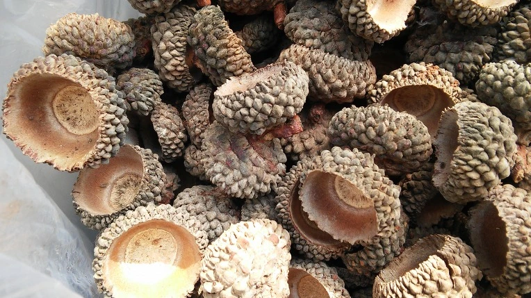 2763C83B5615C2F908DEEE