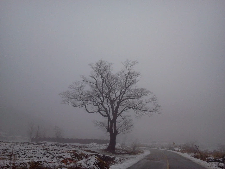 275AE748547F927D19D8ED