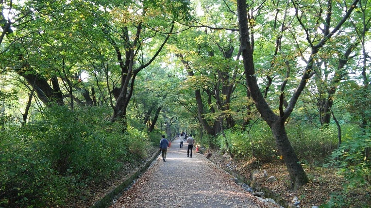 217B6345560FBD0A29CAA9