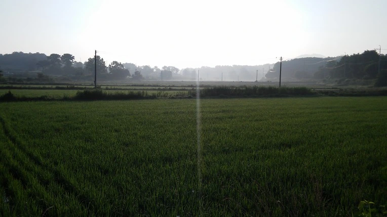 2154AD4A576F7D3C1D2137