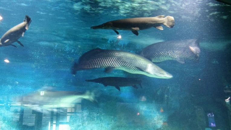 2254E13C593C7613024144