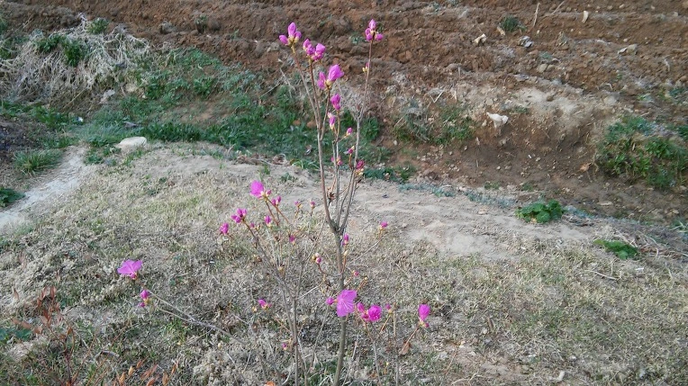 275C194056FC8BF4336CBC