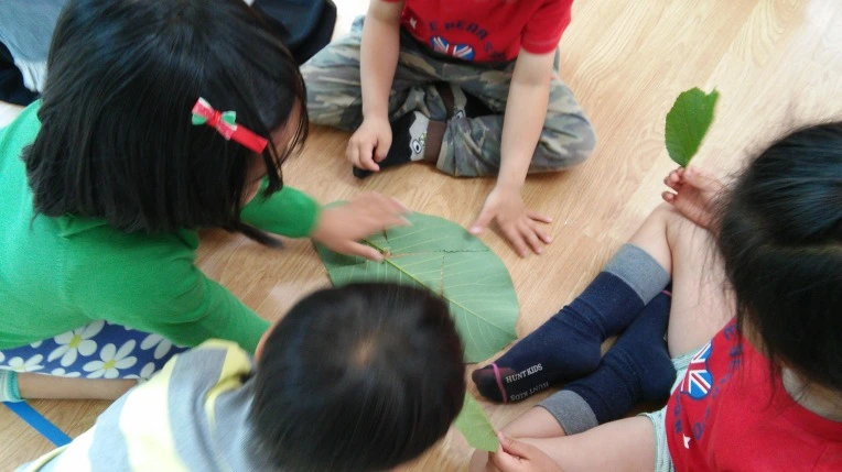 2158B3435652853632A784