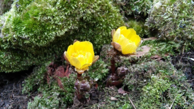 2424CC4456D1084133010B