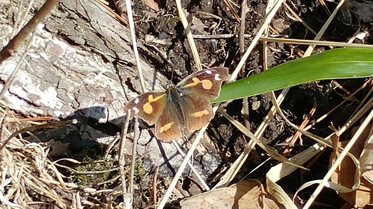 99D0CA425E47193410D566