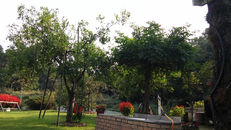 257D433357E3A34E229D45