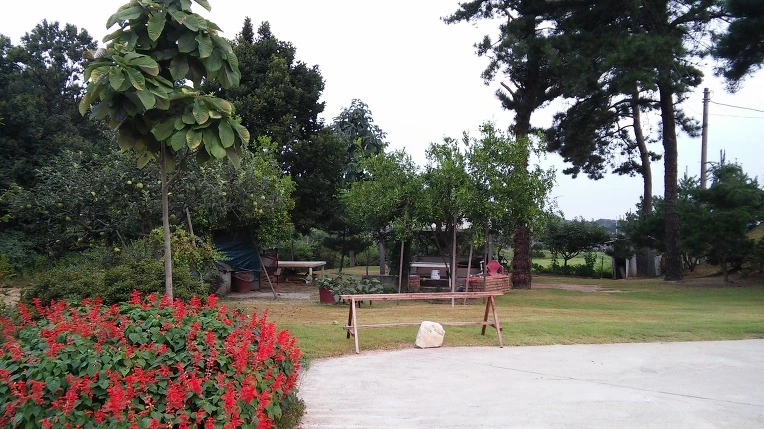 2733B03857B920072E943D