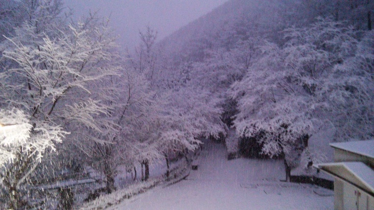 2776143B565F93D52B6310