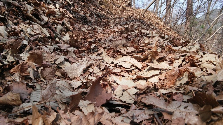 2524DD3756F77576299CD2