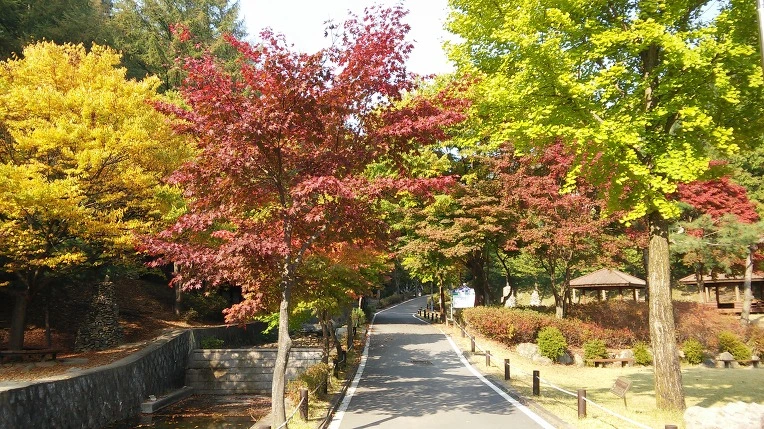 272329385620A68617E34C