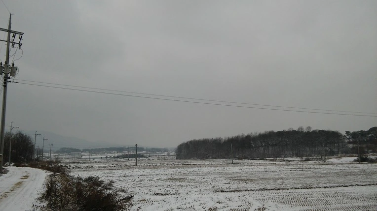 216AB639588189530F650E