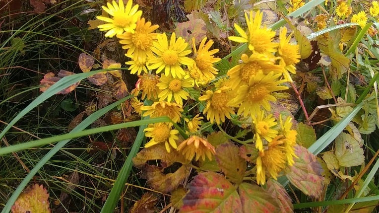 992F3B495BD65E3701DF53