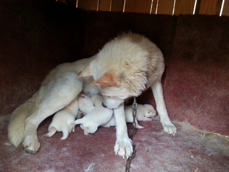 2254D14B51B7F27B3EBCEE