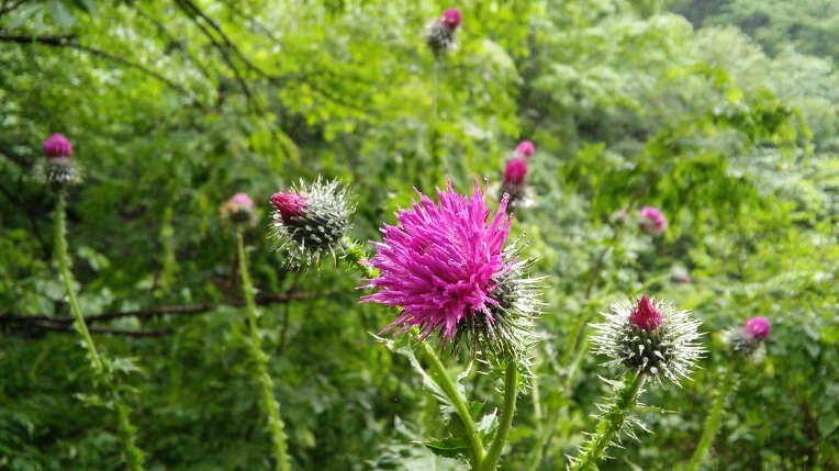 210E28475924D6D40972ED