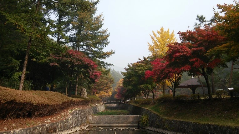 23626D385625E5A7301E77