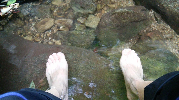 2571B545560FBCEC309391