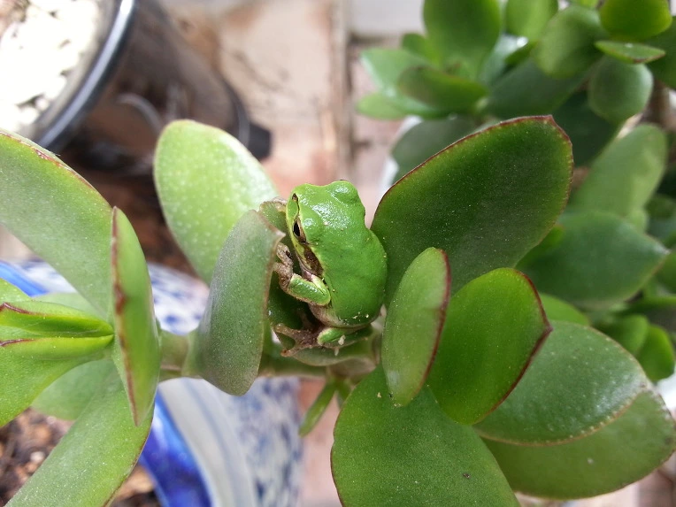 2309CE4C56B024E6280641