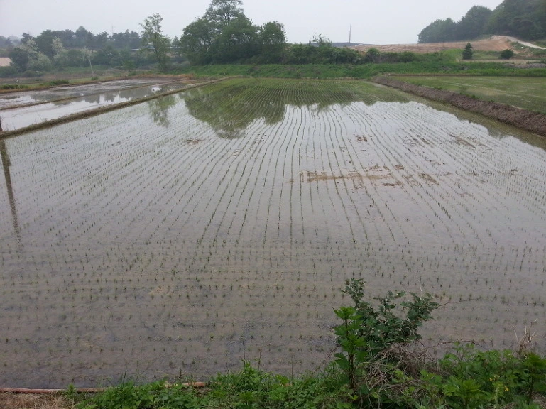 21567B4F53753A59058CF8