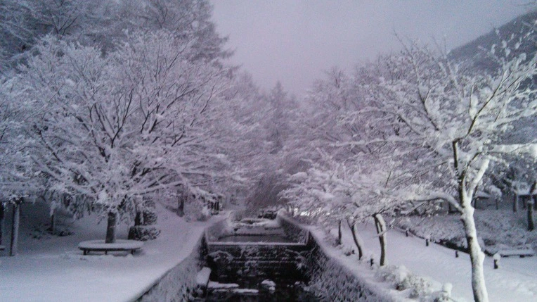 2269DB3E566008F11A2645