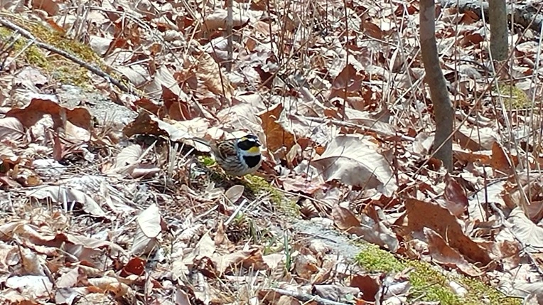 9965F84F5CA53F43200AEE