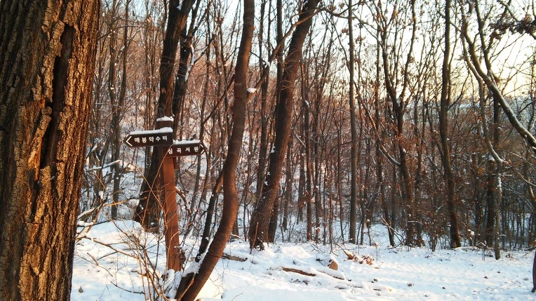 232F283D5696EF412BC861