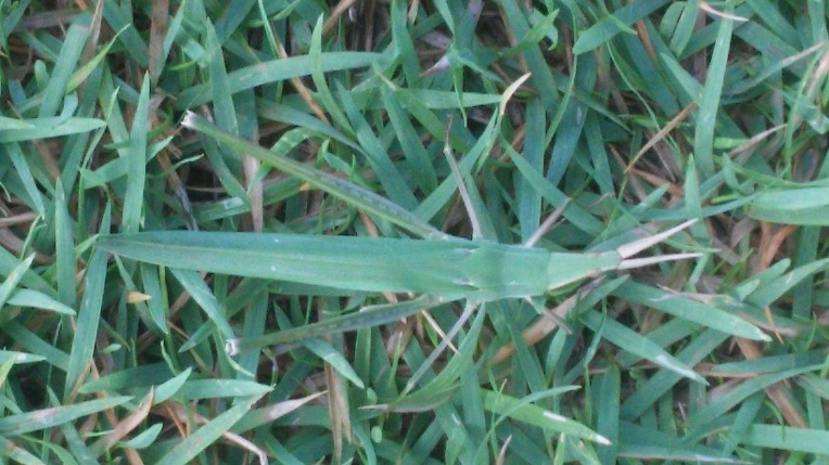 26443C3E57B27F88206F59